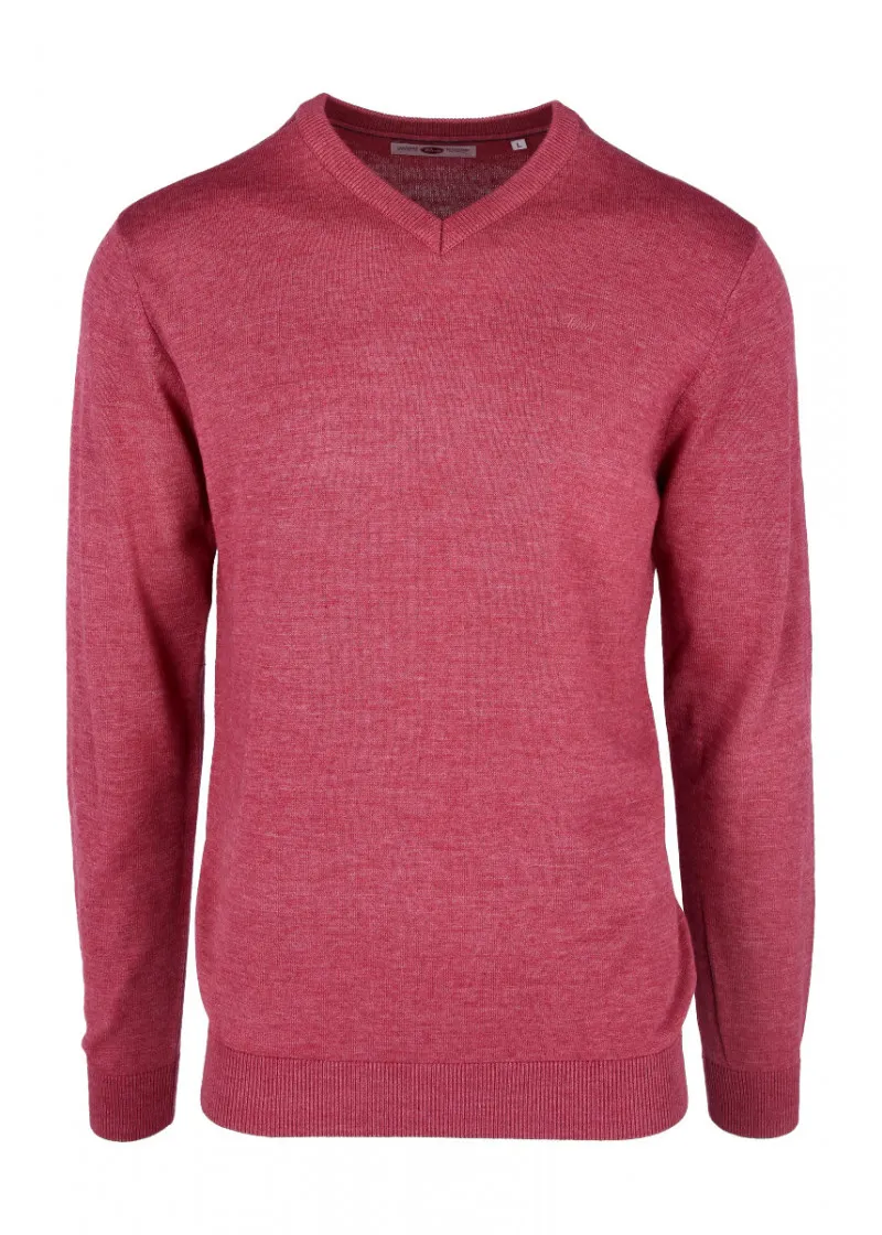 Men Knitwear V-Neck Basic 